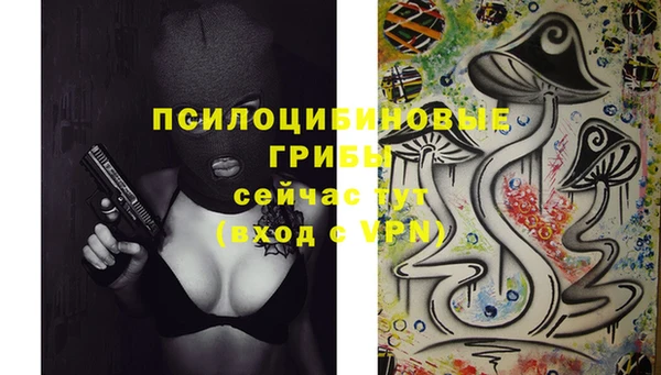 амфетамин Белокуриха